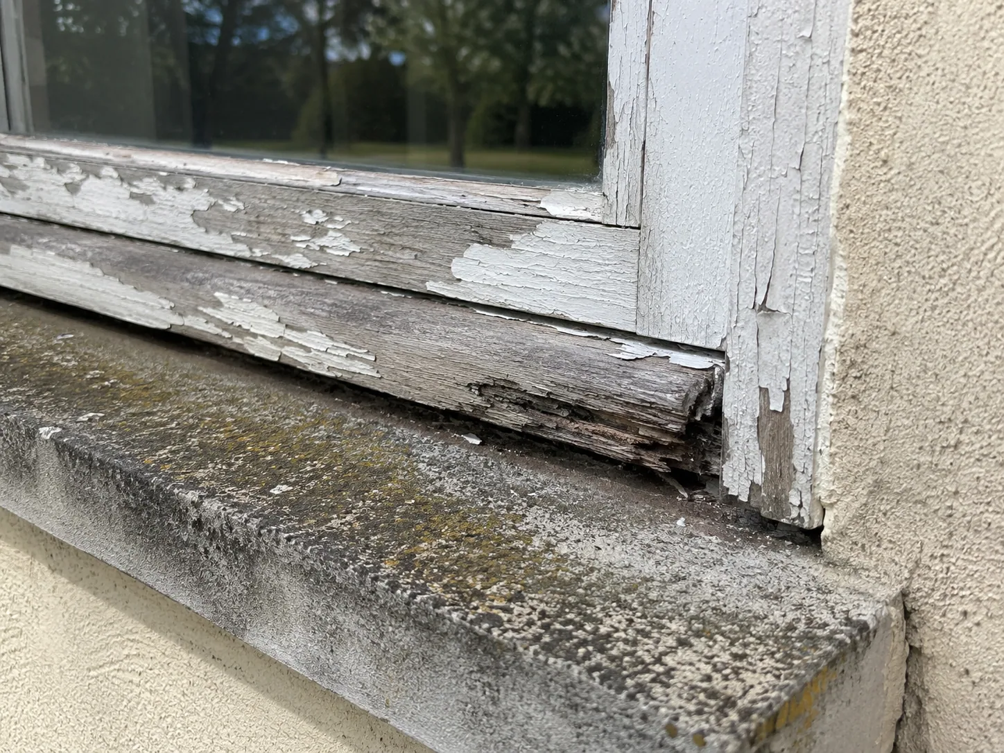 Menuiserie bois de fenêtre arrière dégradée