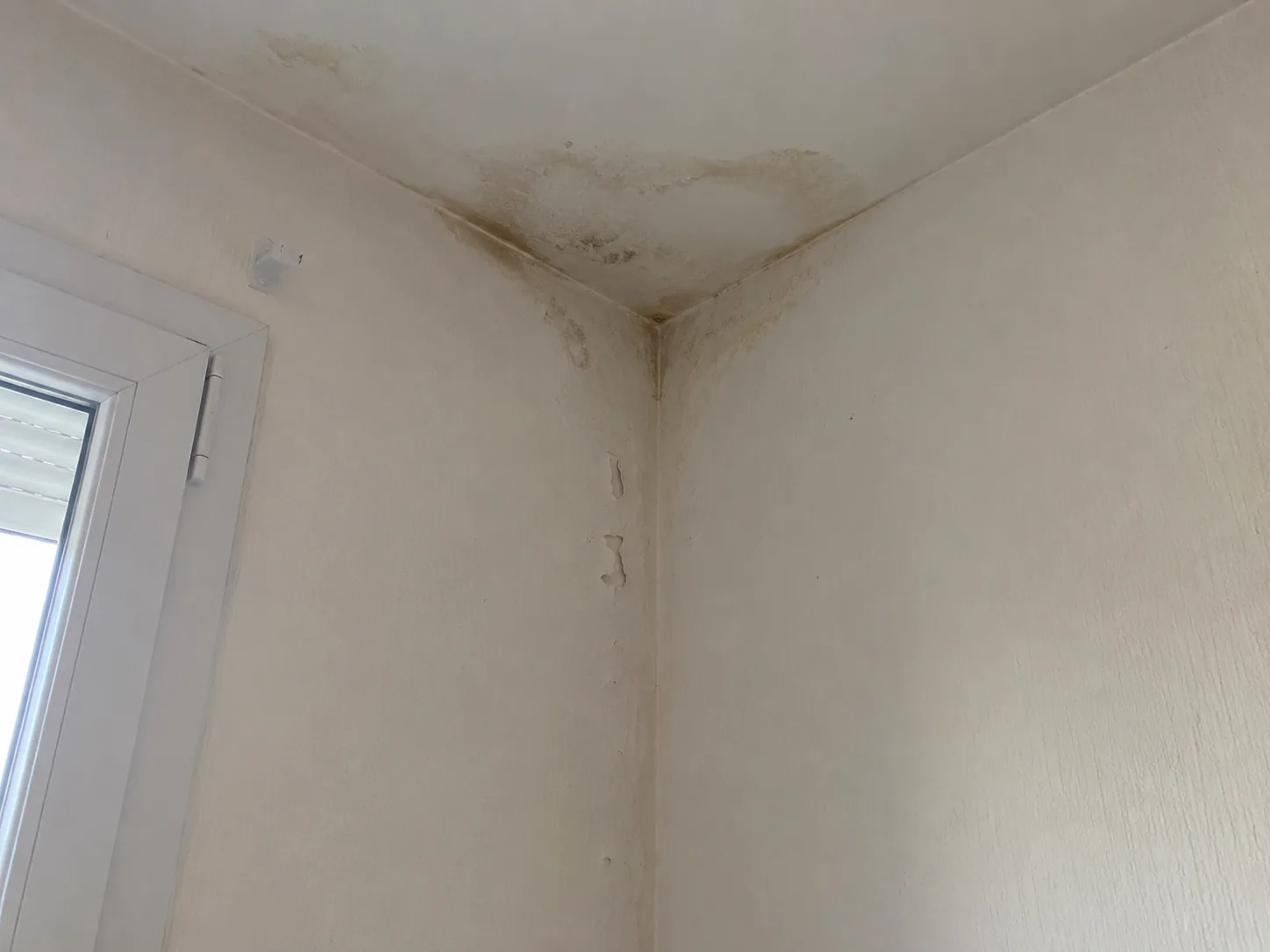 Trace d'humidité dans l'angle d'une chambre